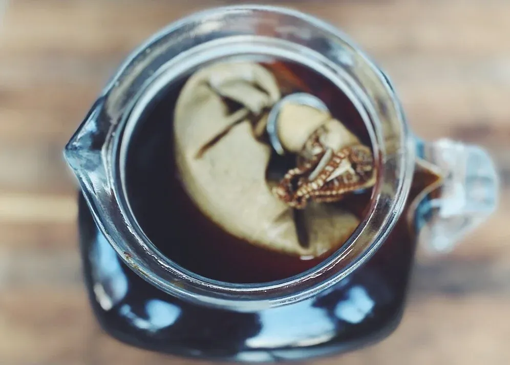 Assorted coffee brewing equipment arranged on a tray for a cold brew guide.