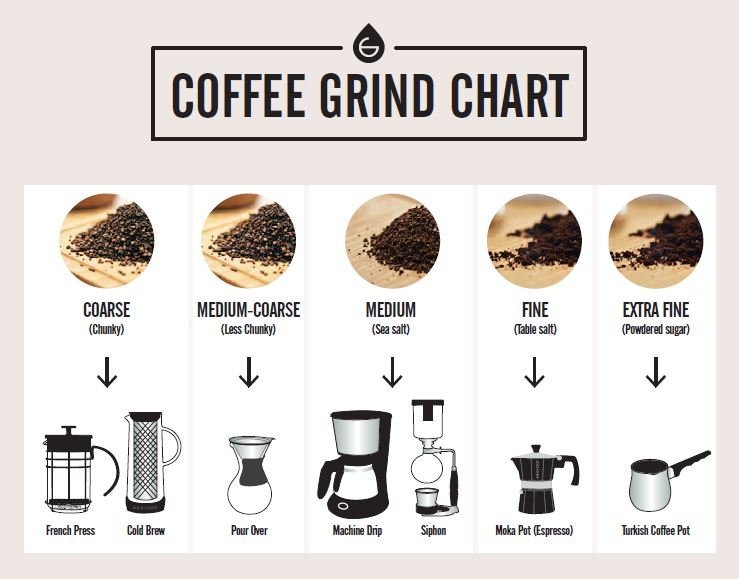 Freshly ground coffee beans ready for a professional espresso machine in a kitchen.