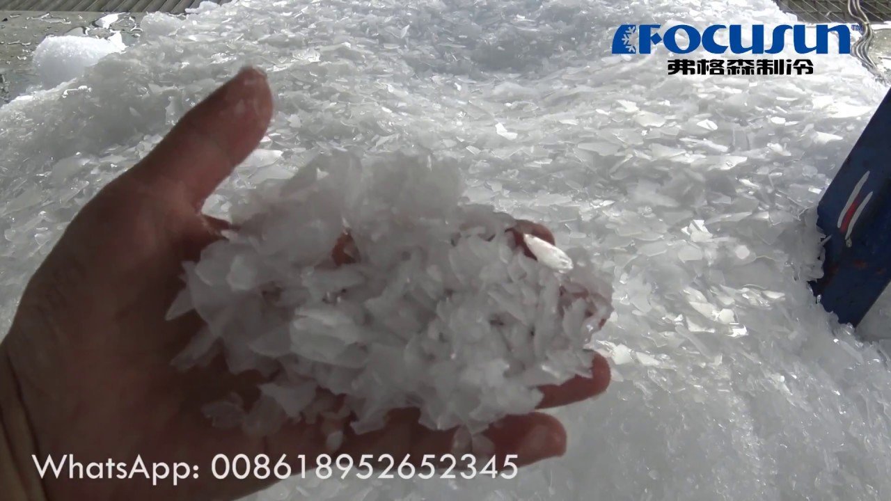 Hand-crushed ice flakes inside a food processor bowl on a kitchen counter.