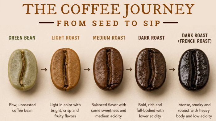 A variety of roasted coffee beans displayed for the best coffee bean roast guide.