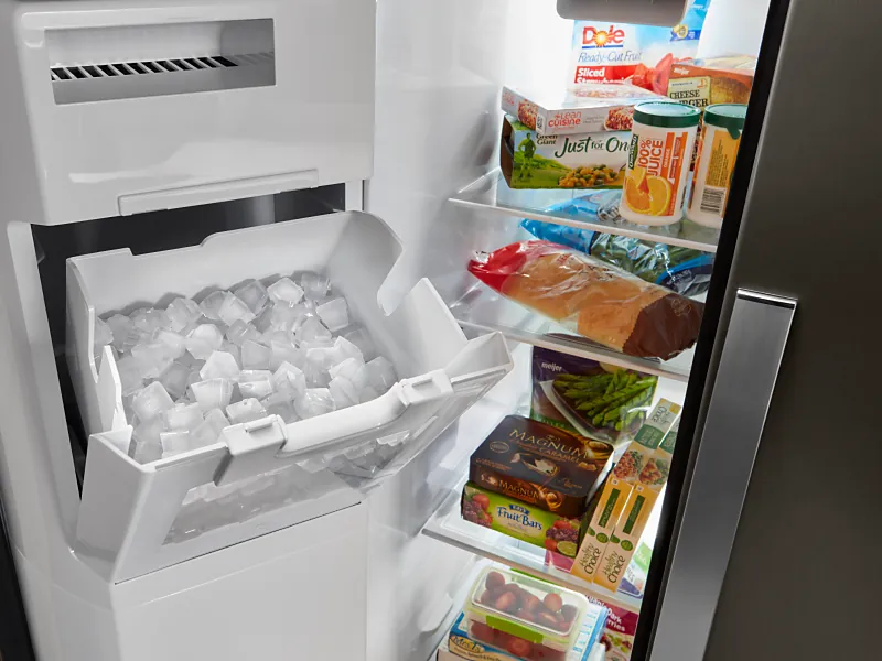 Cleaning the ice maker mold to remove mineral buildup for better performance.